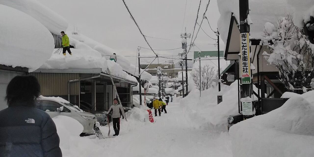 冬の通り